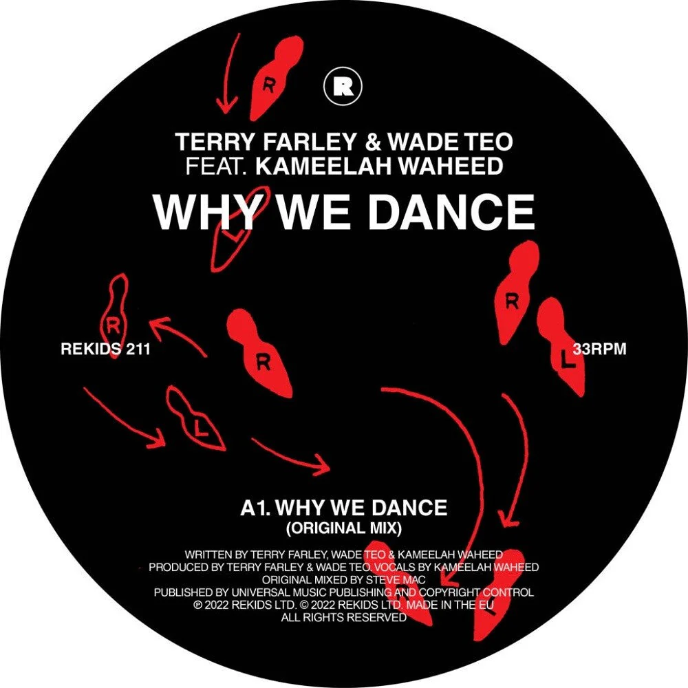 Why We Dance [12" Vinyl]